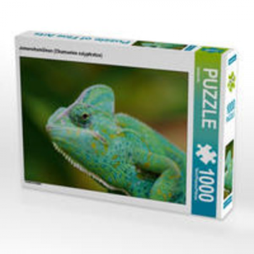 CALVENDO Puzzle Jemenchamäleon (Chamaeleo calyptratus) 1000 Teile Lege-Größe 64 x 48 cm Foto-Puzzle Bild von kattobello