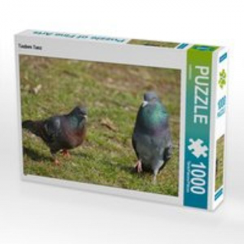 CALVENDO Puzzle Tauben Tanz 1000 Teile Lege-Größe 64 x 48 cm Foto-Puzzle Bild von kattobello