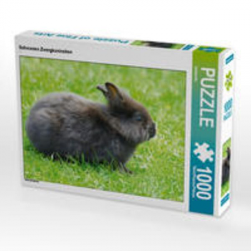 CALVENDO Puzzle Schwarzes Zwergkaninchen 1000 Teile Lege-Größe 64 x 48 cm Foto-Puzzle Bild von kattobello