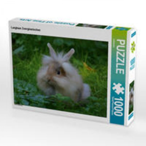 CALVENDO Puzzle Langhaar Zwergkaninchen 1000 Teile Lege-Größe 64 x 48 cm Foto-Puzzle Bild von kattobello