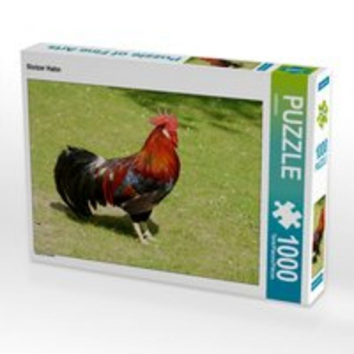 CALVENDO Puzzle Stolzer Hahn 1000 Teile Lege-Größe 64 x 48 cm Foto-Puzzle Bild von kattobello