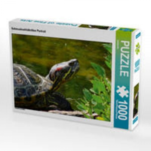 CALVENDO Puzzle Schmuckschildkröten Portrait 1000 Teile Lege-Größe 64 x 48 cm Foto-Puzzle Bild von kattobello