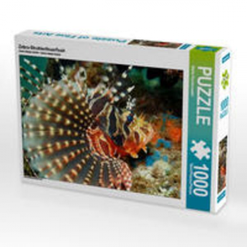 CALVENDO Puzzle Zebra-Strahlenfeuerfisch 1000 Teile Lege-Größe 64 x 48 cm Foto-Puzzle Bild von Martin Rauchenwald