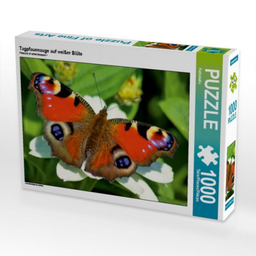 Tagpfauenauge auf weißer Blüte (Puzzle)