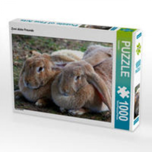 CALVENDO Puzzle Zwei dicke Freunde 1000 Teile Lege-Größe 64 x 48 cm Foto-Puzzle Bild von Kattobello