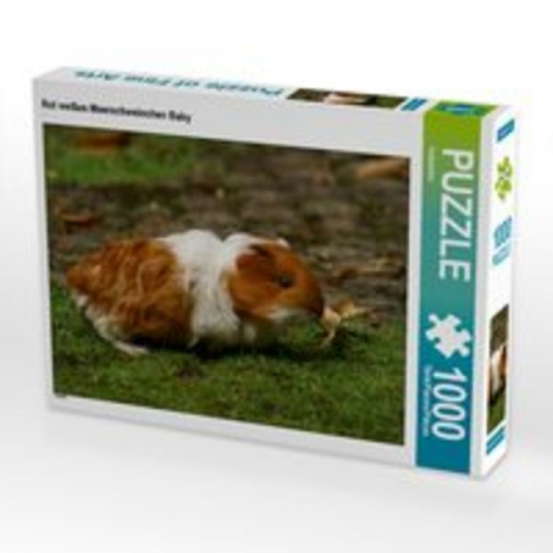 CALVENDO Puzzle Rot weißes Meerschweinchen Baby 1000 Teile Lege-Größe 64 x 48 cm Foto-Puzzle Bild von Kattobello