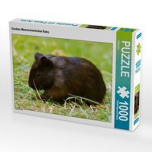 CALVENDO Puzzle Dunkles Meerschweinchen Baby 1000 Teile Lege-Größe 64 x 48 cm Foto-Puzzle Bild von Kattobello