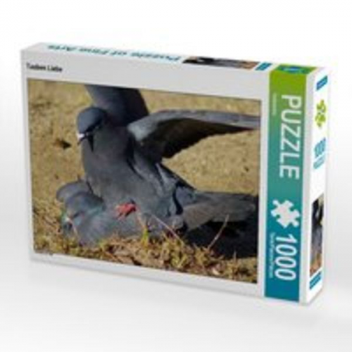 CALVENDO Puzzle Tauben Liebe 1000 Teile Lege-Größe 64 x 48 cm Foto-Puzzle Bild von Kattobello