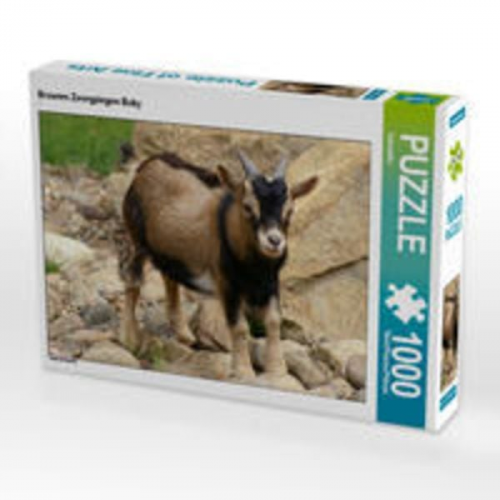 CALVENDO Puzzle Braunes Zwergziegen Baby 1000 Teile Lege-Größe 64 x 48 cm Foto-Puzzle Bild von Kattobello