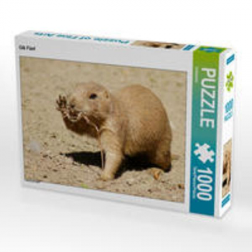 CALVENDO Puzzle Gib Fünf 1000 Teile Lege-Größe 64 x 48 cm Foto-Puzzle Bild von Kattobello