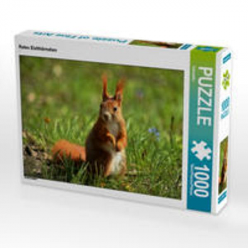 CALVENDO Puzzle Rotes Eichhörnchen 1000 Teile Lege-Größe 64 x 48 cm Foto-Puzzle Bild von Kattobello