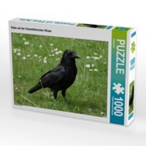 CALVENDO Puzzle Rabe auf der Gänseblümchen Wiese 1000 Teile Lege-Größe 64 x 48 cm Foto-Puzzle Bild von Kattobello