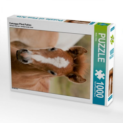 Camargue Pferd Fohlen (Puzzle)