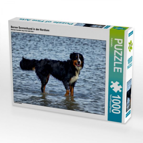 Berner Sennenhund in der Nordsee (Puzzle)