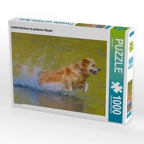 CALVENDO Puzzle Golden Retriever im goldenen Wasser 1000 Teile Lege-Größe 64 x 48 cm Foto-Puzzle Bild von Kattobello