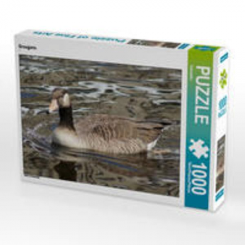 CALVENDO Puzzle Graugans 1000 Teile Lege-Größe 64 x 48 cm Foto-Puzzle Bild von Kattobello