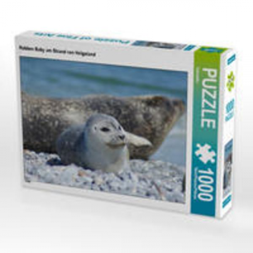 CALVENDO Puzzle Robben Baby am Strand von Helgoland 1000 Teile Lege-Größe 64 x 48 cm Foto-Puzzle Bild von Kattobello