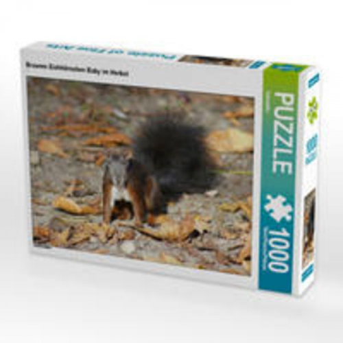 CALVENDO Puzzle Braunes Eichhörnchen Baby im Herbst 1000 Teile Lege-Größe 64 x 48 cm Foto-Puzzle Bild von Kattobello