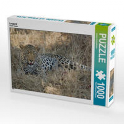 CALVENDO Puzzle Leopard 1000 Teile Lege-Größe 64 x 48 cm Foto-Puzzle Bild von Johann Schörkhuber