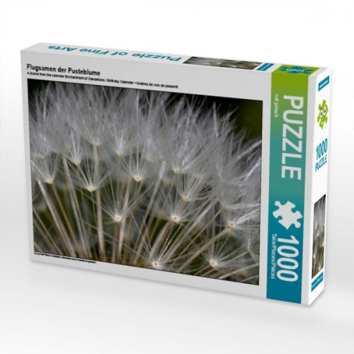 Flugsamen der Pusteblume (Puzzle)