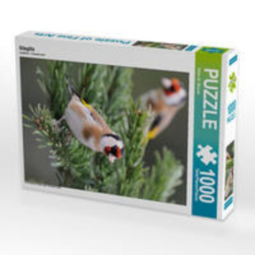 CALVENDO Puzzle Stieglitz 1000 Teile Lege-Größe 48 x 64 cm Foto-Puzzle Bild von Dieter-M. Wilczek