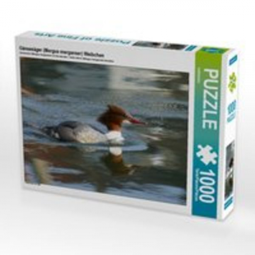 CALVENDO Puzzle Gänsesäger (Mergus merganser) Weibchen 1000 Teile Lege-Größe 64 x 48 cm Foto-Puzzle Bild von kattobello