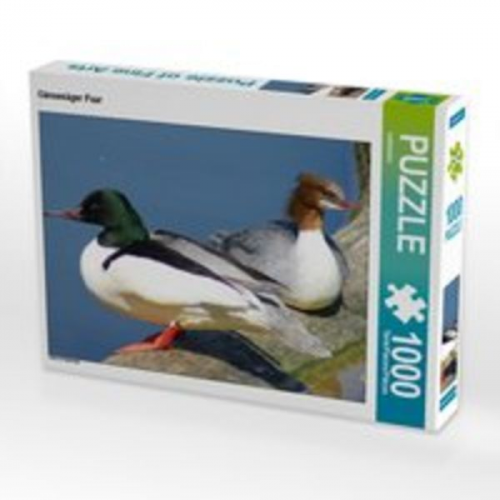 CALVENDO Puzzle Gänsesäger Paar 1000 Teile Lege-Größe 64 x 48 cm Foto-Puzzle Bild von kattobello