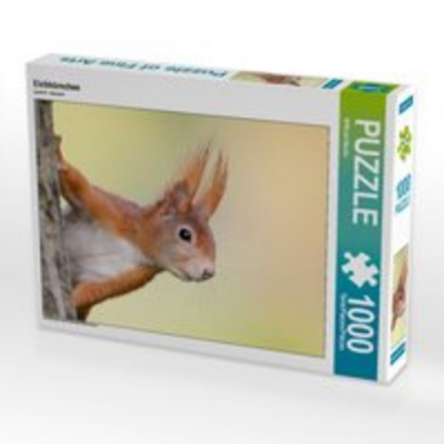 CALVENDO Puzzle Eichhörnchen 1000 Teile Lege-Größe 64 x 48 cm Foto-Puzzle Bild von Wilfried Martin