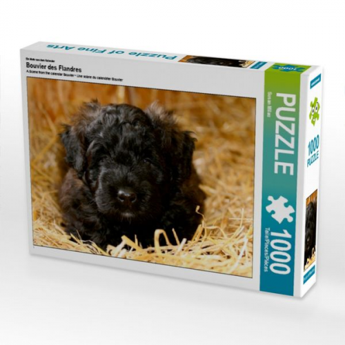 Ein Motiv aus dem Kalender Bouvier des Flandres (Puzzle)