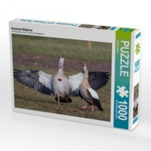 CALVENDO Puzzle Balzende Nilgänse 1000 Teile Lege-Größe 64 x 48 cm Foto-Puzzle Bild von Wilfried Martin