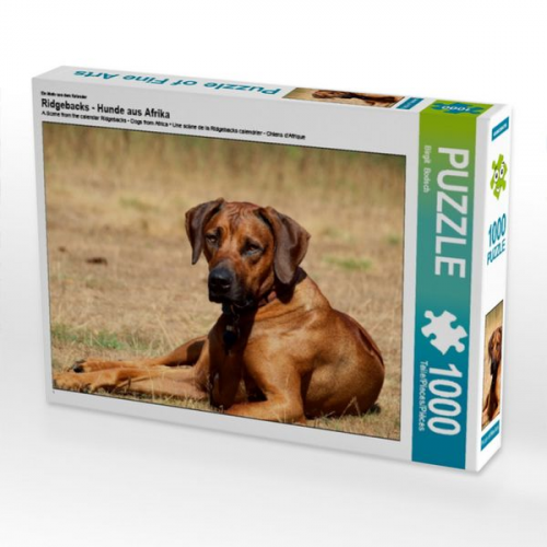 Ein Motiv aus dem Kalender Ridgebacks - Hunde aus Afrika (Puzzle)