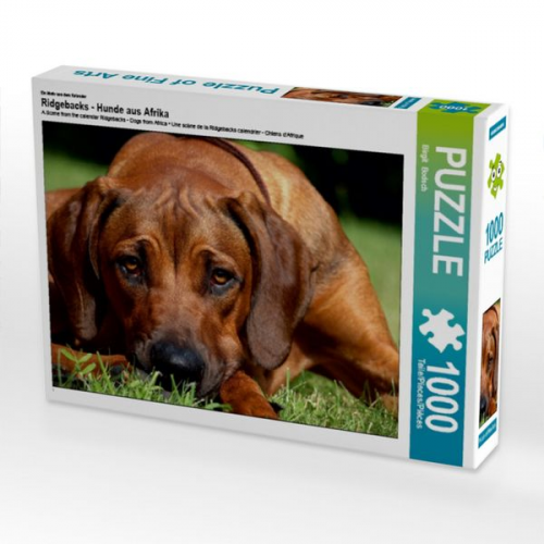 Ein Motiv aus dem Kalender Ridgebacks - Hunde aus Afrika (Puzzle)