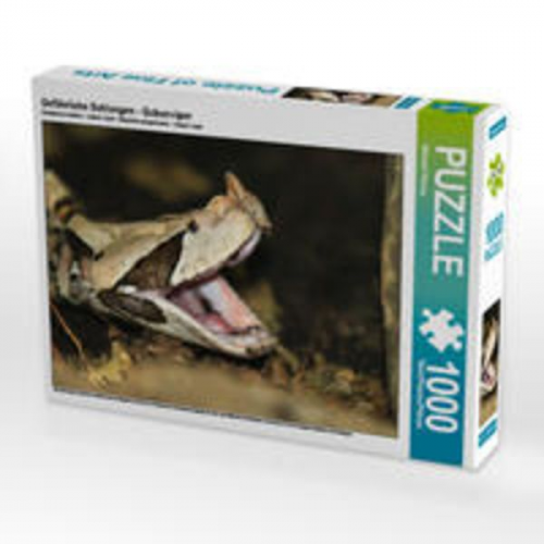 CALVENDO Puzzle Gefährliche Schlangen - Gabunviper 1000 Teile Lege-Größe 64 x 48 cm Foto-Puzzle Bild von Michael Herzog