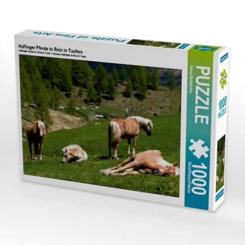 Haflinger Pferde in Rein in Taufers (Puzzle)