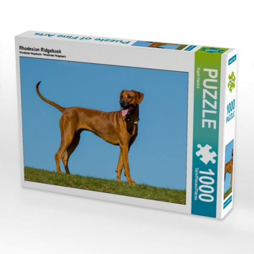 Rhodesian Ridgeback (Puzzle)