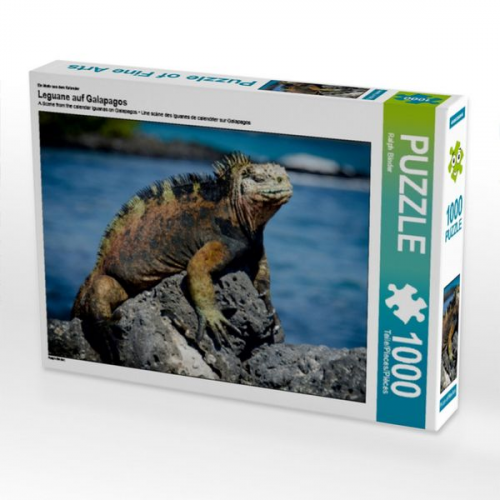 Ein Motiv aus dem Kalender Leguane auf Galapagos (Puzzle)
