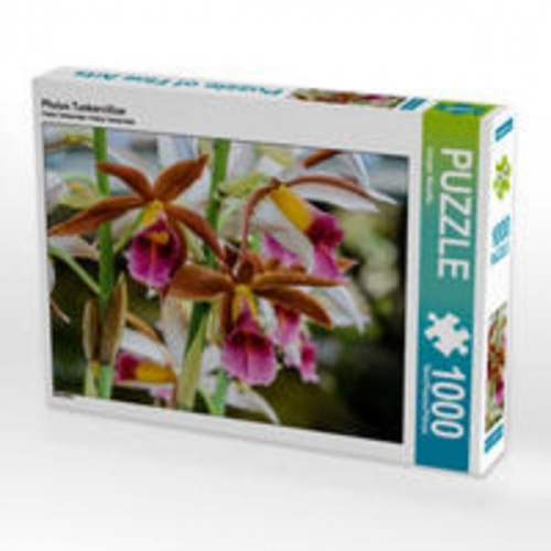 CALVENDO Puzzle Phaius Tankervilliae 1000 Teile Lege-Größe 64 x 48 cm Foto-Puzzle Bild von Juergen Woehlke