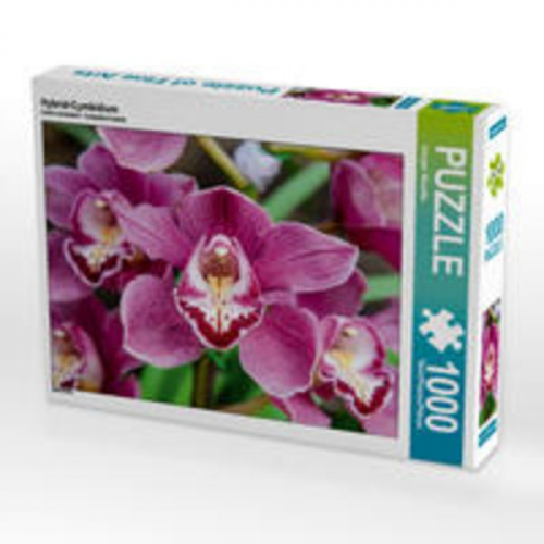 CALVENDO Puzzle Hybrid-Cymbidium 1000 Teile Lege-Größe 64 x 48 cm Foto-Puzzle Bild von Juergen Woehlke