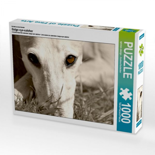 Ein Motiv aus dem Kalender Galgo eye-catcher (Puzzle)