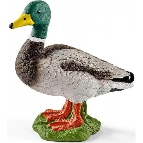 Schleich 13824 - Farm World, Erpel, Ente, Tierfigur