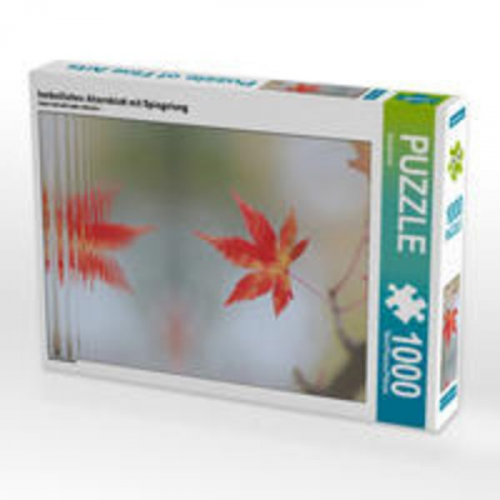 CALVENDO Puzzle herbstliches Ahornblatt mit Spiegelung 1000 Teile Lege-Größe 48 x 64 cm Foto-Puzzle Bild von SusaZoom