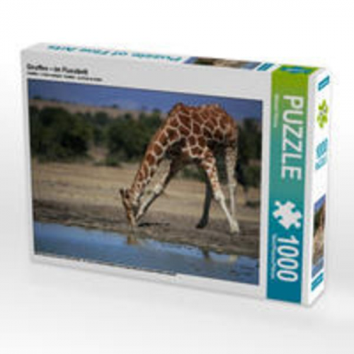 CALVENDO Puzzle Giraffen - Im Flussbett 1000 Teile Lege-Größe 64 x 48 cm Foto-Puzzle Bild von Michael Herzog