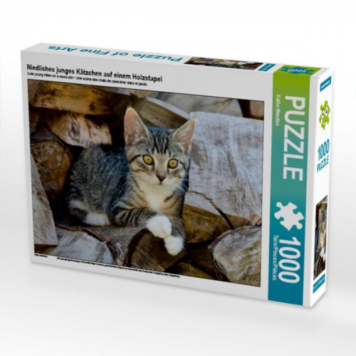 Niedliches junges Kätzchen auf einem Holzstapel (Puzzle)
