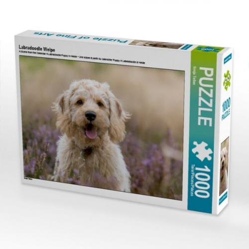 Labradoodle Welpe (Puzzle)