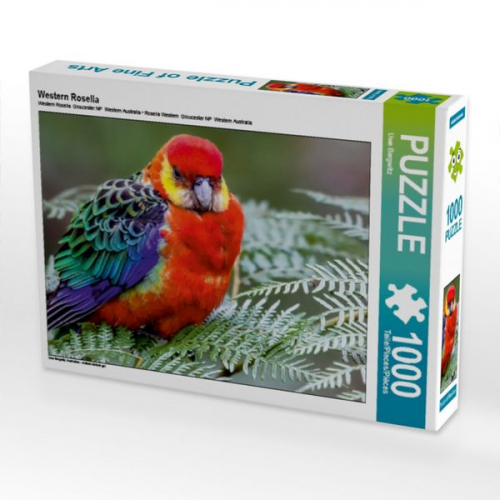 Western Rosella (Puzzle)