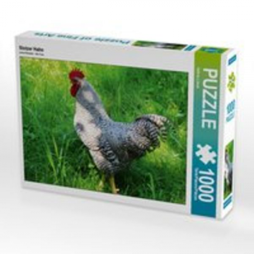 CALVENDO Puzzle Stolzer Hahn 1000 Teile Lege-Größe 64 x 48 cm Foto-Puzzle Bild von Sabine Löwer