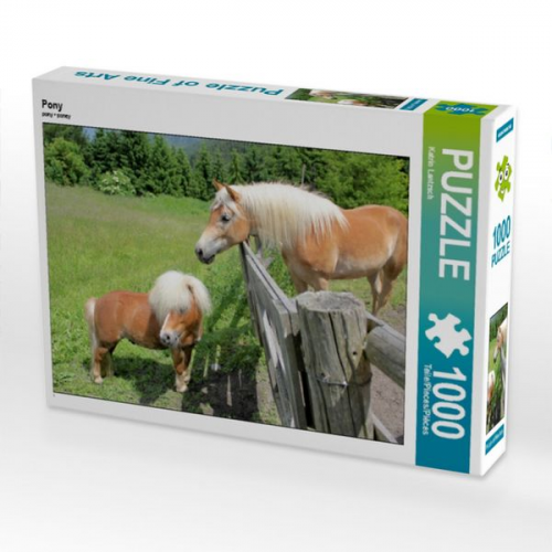 Pony (Puzzle)