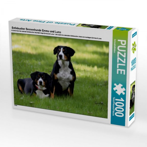 Entlebucher Sennenhunde Emma und Luna (Puzzle)