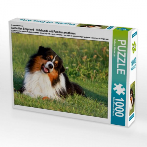 Ein Motiv aus dem Kalender Australian Shepherd - Hütehunde mit Familienanschluss (Puzzle)