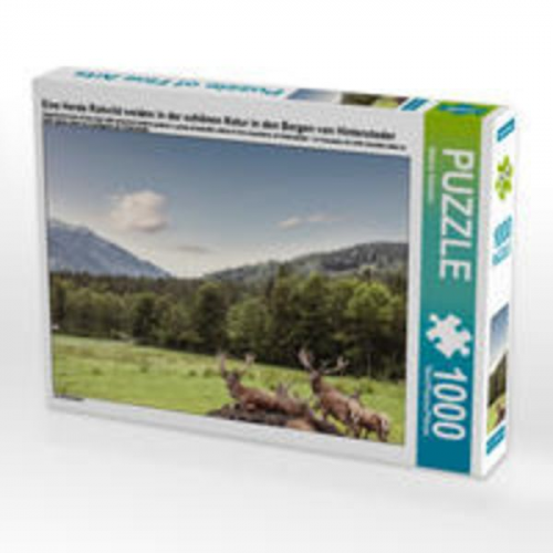 CALVENDO Puzzle Eine Herde Rotwild weiden in der schönen Natur in den Bergen von Hinterstoder 1000 Teile Lege-Größe 64 x 48 cm Foto-Puzzle Bild von Ma